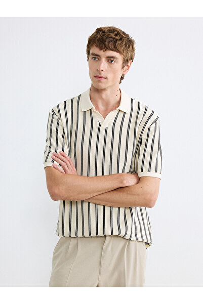 LC Waikiki Vizyon New Season Polo Neck Striped Men's T-Shirt
