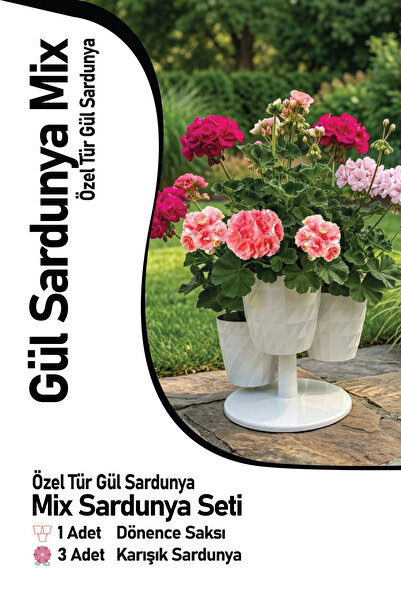 Gardina Saksılı Gül Sardunya Seti MIX