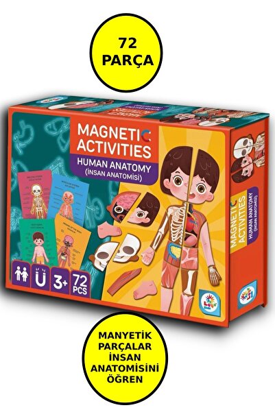 Genel Markalar Manyetik Eğitici İnsan Anatomisi İnsan Vücudu Aktivite Oyun Se...