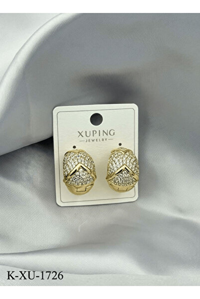 Bozhi Elegant Earrings Modern Style Stylish Gift