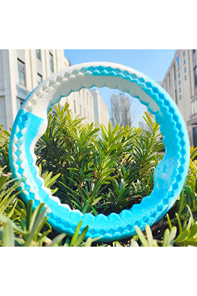 Choice S blue Pet Dog Bite Ring, Bite-Resistant Grinding Training, Interactiv...