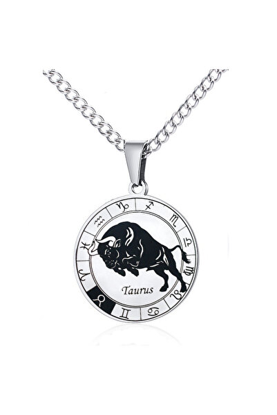 Choice Taurus Stainless Steel 12 Zodiac Sign Necklace For Men Women Constella...
