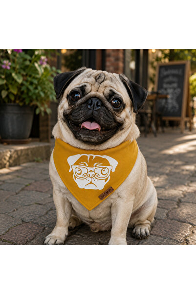 PATİMİO Pug Cat And Dog Leash Scarf Bandana