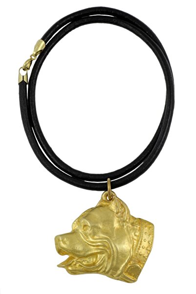 Art - Dog Pit Bull - colier cu un câine într-o cutie cadou, pandantiv placat ...