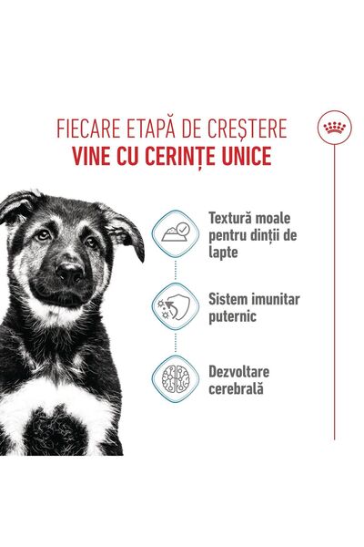 Royal Canin Hrană umedă pentru căței Maxi în pliculețe cu sos 10 x 140 g
