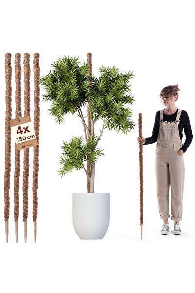 KADAX 4x Suport pentru plante/flori, țăruș de cocos de 150cm, tijă pentru Mon...