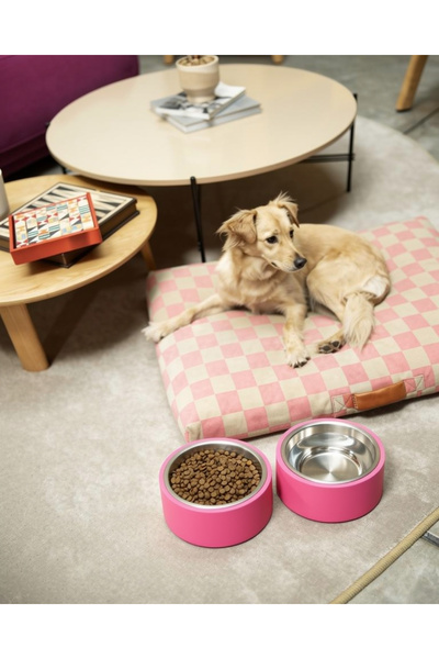 Kişiselleştirilebilir Renkli Kedi Köpek Mama Su Kabı 12Cm