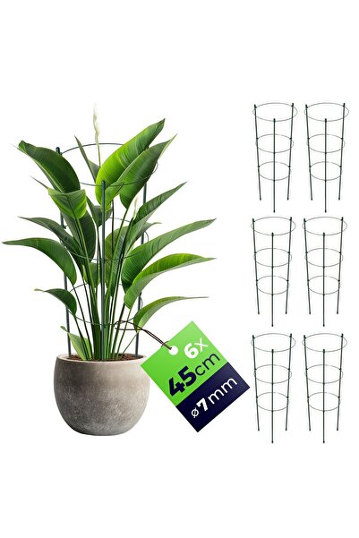 KADAX Inele de susținere pentru plante și flori 45cm Inele metalice de susțin...