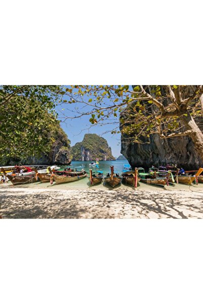 OEM Audiobox Sunete Ambientale Pădure Tropicală Rosy, Senzor Mișcare, 120 sec, Reîncărcabil USB-C