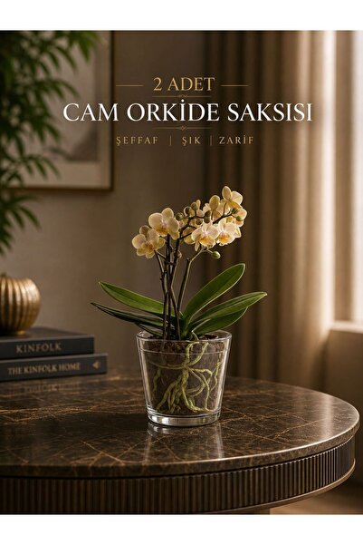 NEXVORİA Orkide Cam Saksı Seti / Dekoratif Orkide Saksısı 2 adet