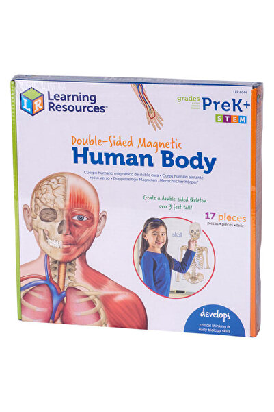 Learning Resources The human body - magnetic set