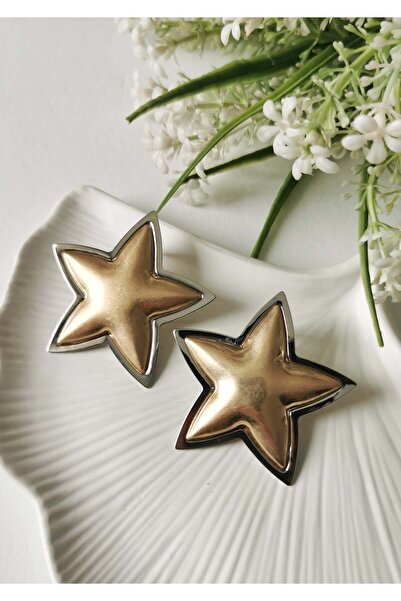 Halley Concept Star Steel Earrings