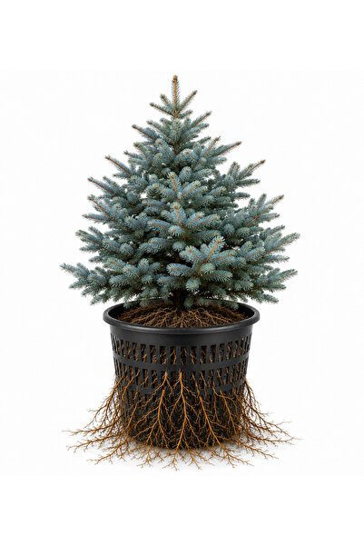 Ekodoğa Üretim saksısı 13 lt 5 adet 28x26 cm File Saksı Delikli Saksı Sepet S...