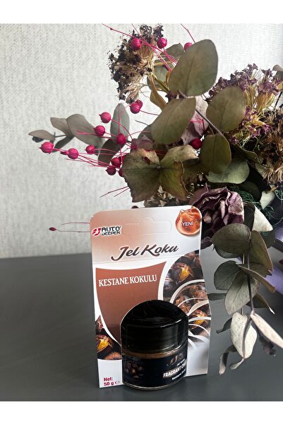 Deepen auto FRAGRANT CHESTNUT (kestane kokulu) oto araç ve oda jel kokusu 1 adet