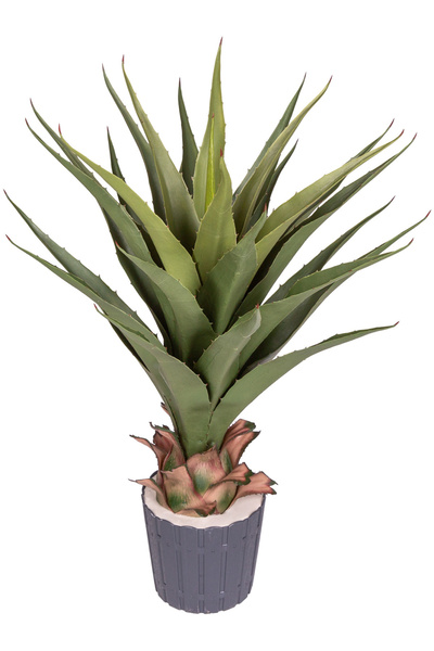 Herdekora Yapay Aloe Vera 27 Yaprak Yeşil 75 Cm.