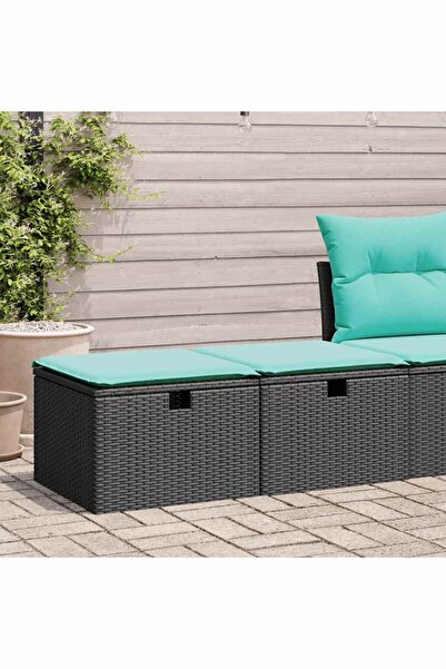 vidaxl Set mobilier de gradina cu perne, 2 piese poliratan/lemn acacia