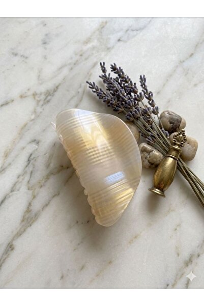 LUXENYA DESİGN Large Size Transparent Striped Bone Clip Strong Grip Hair Clip...