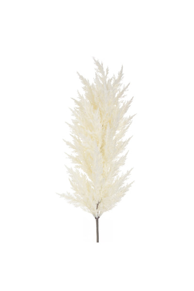 Zumzeria Iarbă de Pampas Albă 86cm