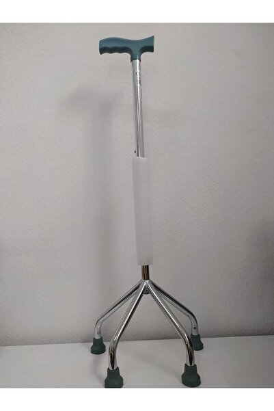 tetrapod