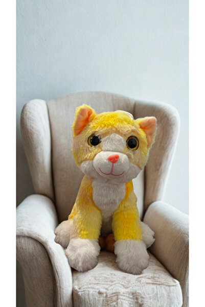 RENKLİ KEDİ PELUŞ OYUNCAK 30 CM