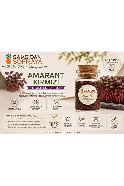 Saksıdan Sofraya Kırmızı Amarant (Horoz İbiği) 2 Gram Mikro Filiz Tohumu