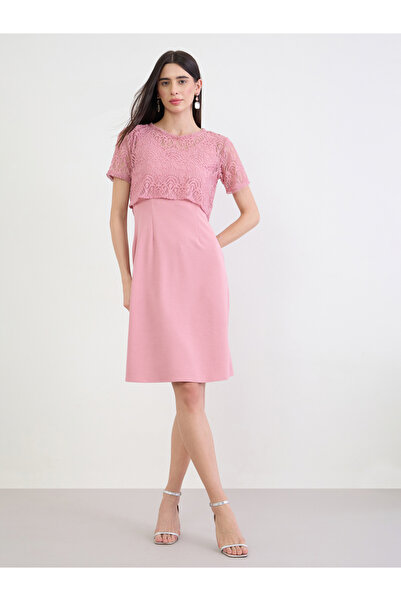 Styli Pink Lace Overlay Sheath Knee Length Dress