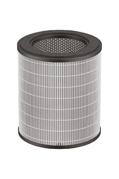 Rowenta Filtru aer pentru Pure Air City XD6280F0