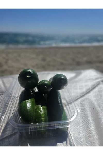 Organik Salatalık - 500 Gram