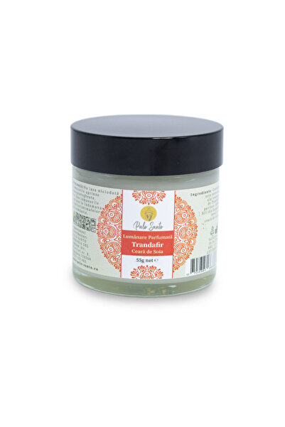 Palo Santo Soy Candle and Rose Essential Oil: Elegance