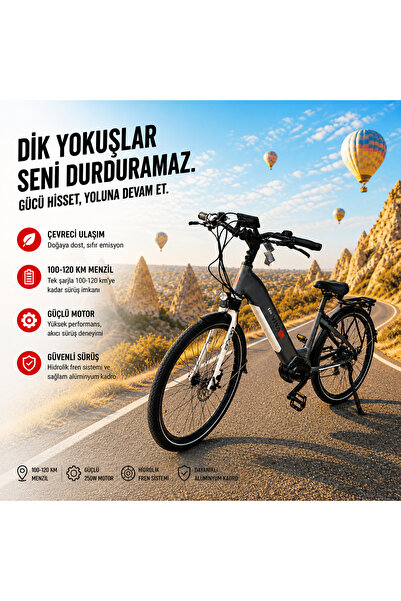 AsVIVA B14T 28 Jant Orta Motorlu Hollanda Elektrikli Bisiklet-Li-ion Akü 36V/...