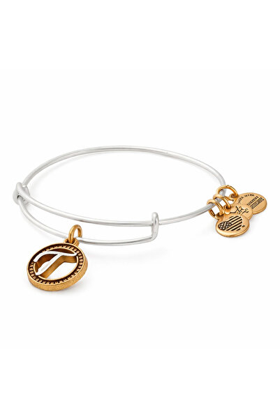 Alex and Ani Bratara Metal A18EBINT20TTR