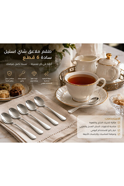 Dania 6-Piece Plain Steel Tea Spoon Set ☕ ✨   – Sleek Stainless Steel Design ...