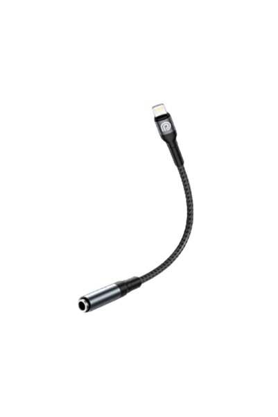 OEMS Ip-aux phone plant converter