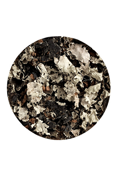 HERBS اوراق الشيبه 100 جرام