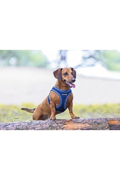 Yıldızan Terra Organic Dog Harness, Neoprene, Blue, Xs, 30-35cm Terra Organic...