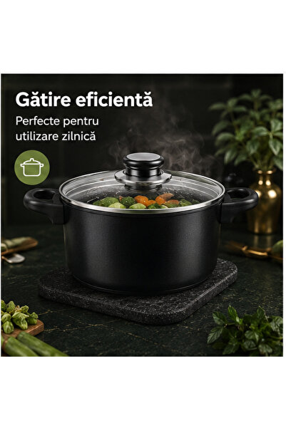 OEM Set 13 Oale si Cratite — vase de gătit (RO-V12)