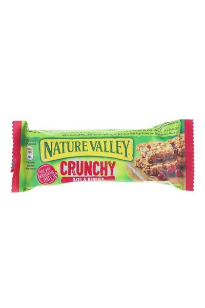Nature Valley شوفان وتوت 42 جرام