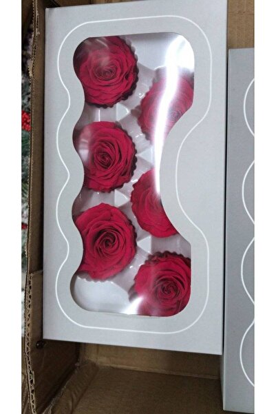 OEM Trandafiri criogenati, 6 bucati/cutie, diametru 6 cm Rosu
