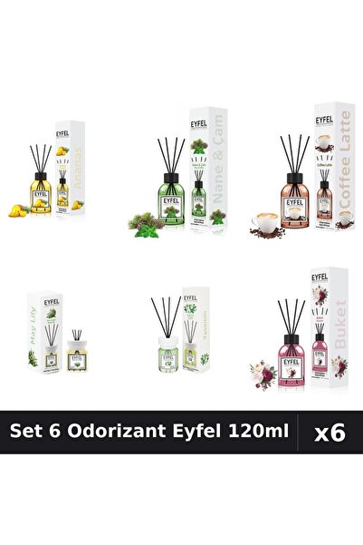Eyfel Set 6 Odorizante Camera Betisoare, Ananas, Bouquet, Cafea, Iasomie, Lac...