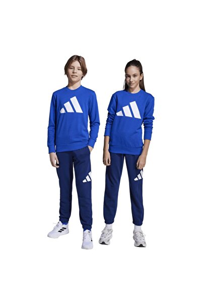adidas Kids Essentials Big Logo French Terry Joggers Set 152