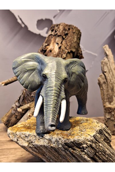 Asya VAHŞİ HAYVANLAR SERİSİ FİL
