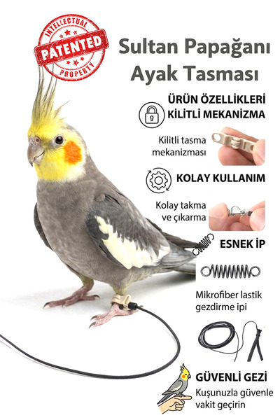 ozzipetshop Sultan Papağanı Ayak Bilek Tasmasi Guvenli Gezdirme