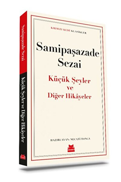 Kırmızı Kedi Yayınları Küçük Şeyler ve Diğer Hikâyeler