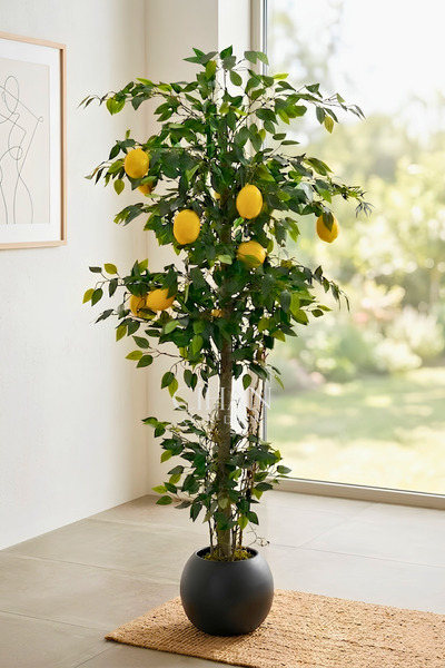 Cihan Çiçekçilik 10 Limonlu Yapay Limon Ağacı 180 cm Küre Saksılı