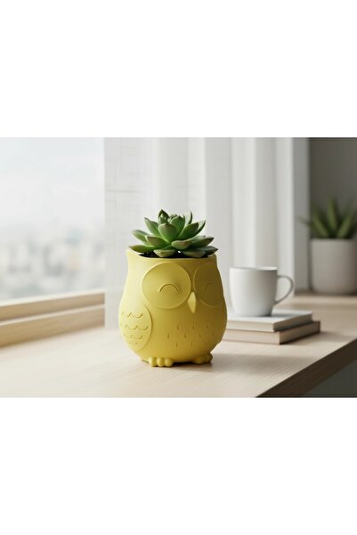 OEM Ghiveci Decorativ Bufniță Stil Japandi - Suport Plante Mici