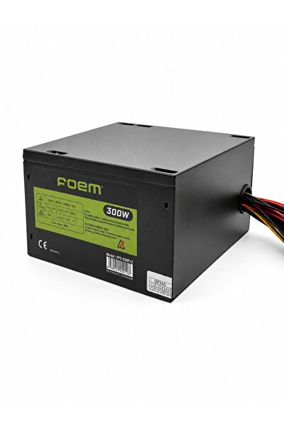 300W FPS-G30F12 12cm Fanlı Power Supply