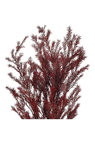 Roberto Rossi Preserved creeping plant rosemary H50-100 cm red