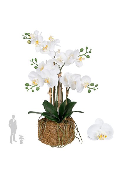 Roberto Rossi Orhidee artificiala alba cu aspect H52 cm cu 5 tulpini