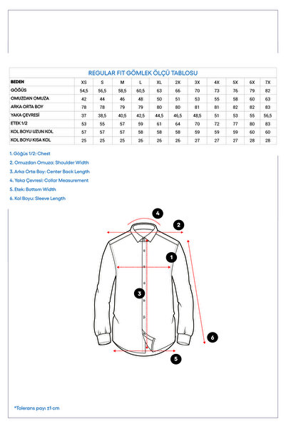 Kiğılı Long Sleeve Non Iron Shirt
