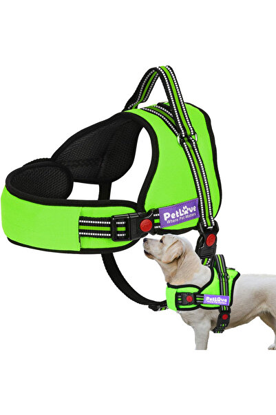 OEM Ham pentru Caini, Reglabil, Captusit, Anti-Tractare, PetLove, Verde, Mari...